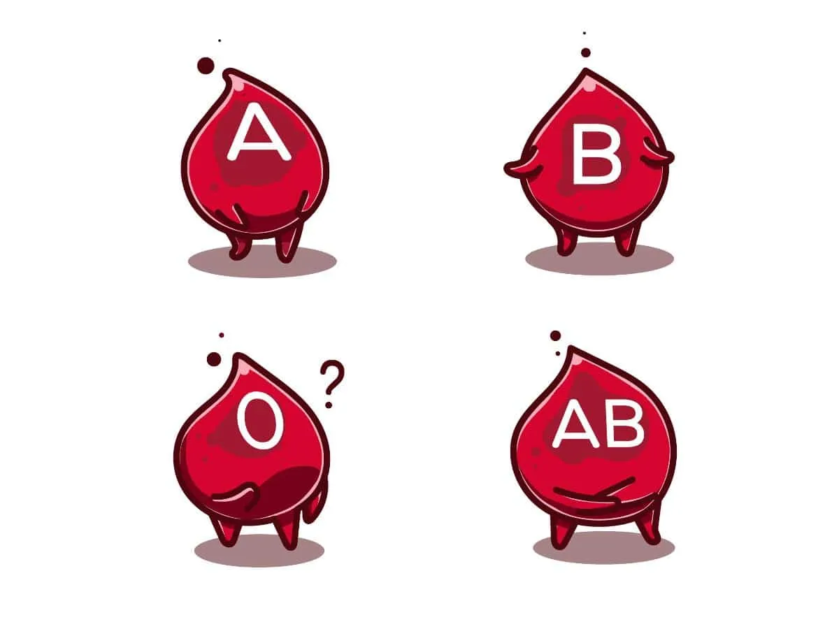 Phân loại nhóm máu hệ ABO, khi nào cần xét nghiệm nhóm máu?