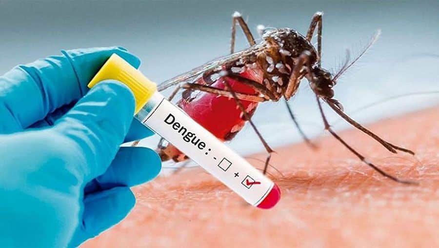 Bệnh sốt xuất huyết Dengue là gì?