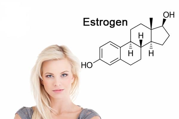 Estrogen là hormon chính của đường sinh dục nữ