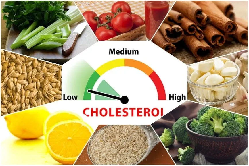 Thực phẩm giúp giảm cholesterol trong máu phòng ngừa bệnh thiếu máu cục bộ mạc treo. 