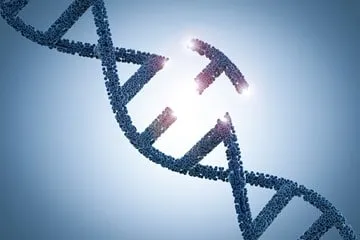 Đột biến cấu trúc DNA là nguyên nhân gây ung thư túi mật. Ảnh minh họa sưu tầm 