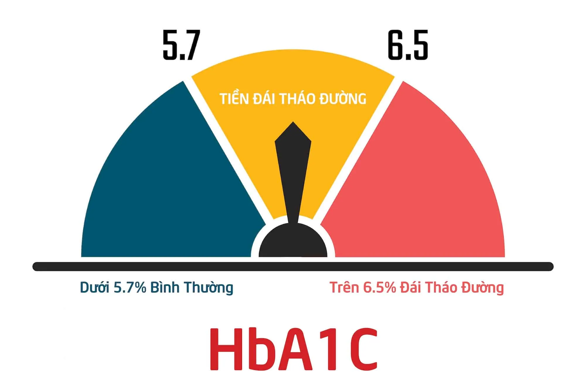 Chỉ số HbA1C bao nhiêu là bình thường, bao nhiêu là bị đái tháo đường (tiểu đường).