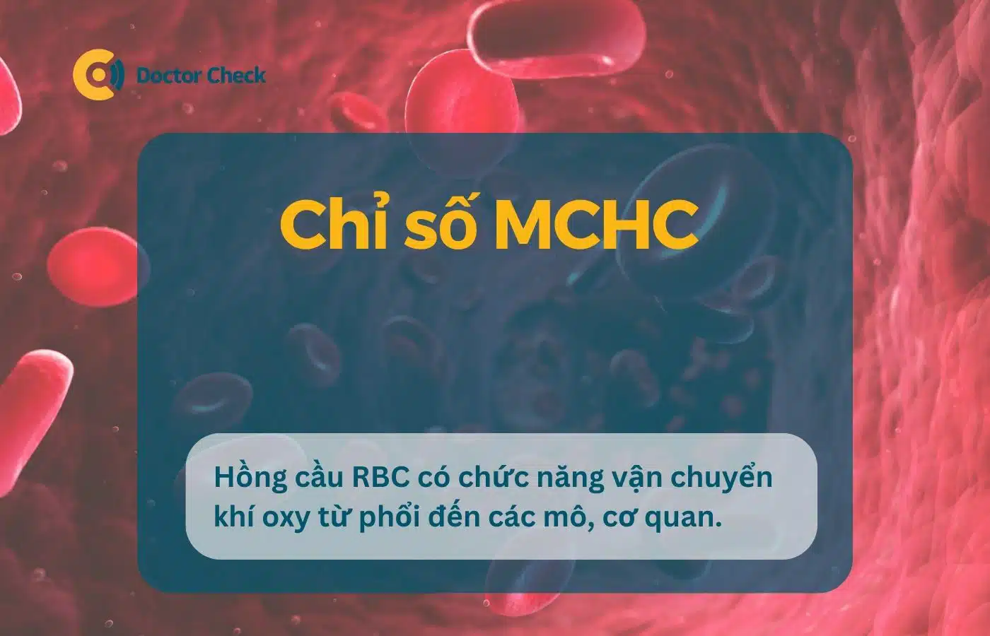 Chỉ số MCHC trong công thức máu (tổng phân tích tế bào máu ngoại vi)