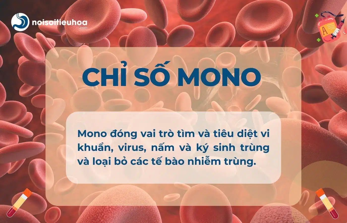 Chỉ số MONO trong tổng phân tích tế bào máu ngoại vi (công thức máu)