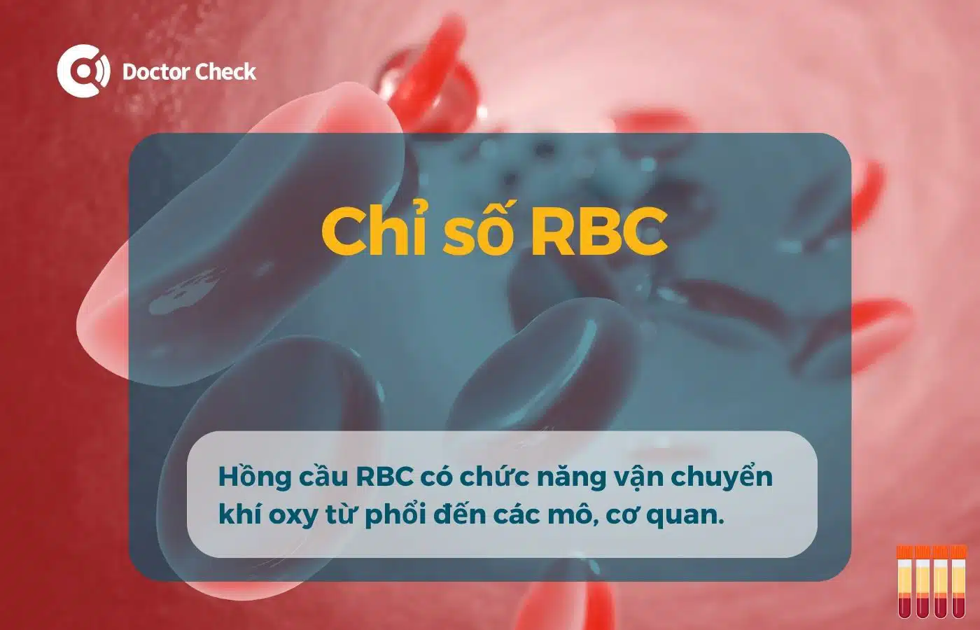 Chỉ số RBC trong tổng phân tích tế bào máu ngoại vi (công thức máu)