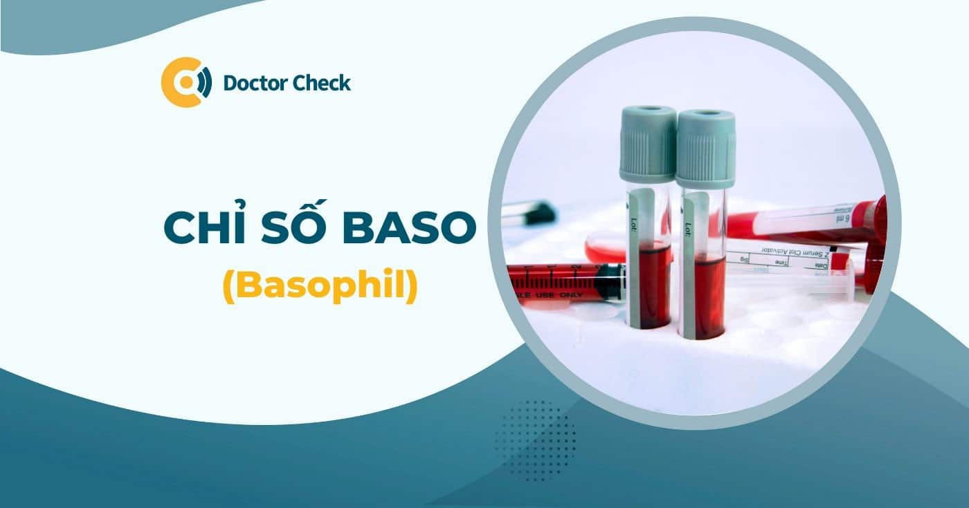 Chỉ số BASO trong máu là gì? Chỉ số BASO cao cảnh báo vấn đề gì?