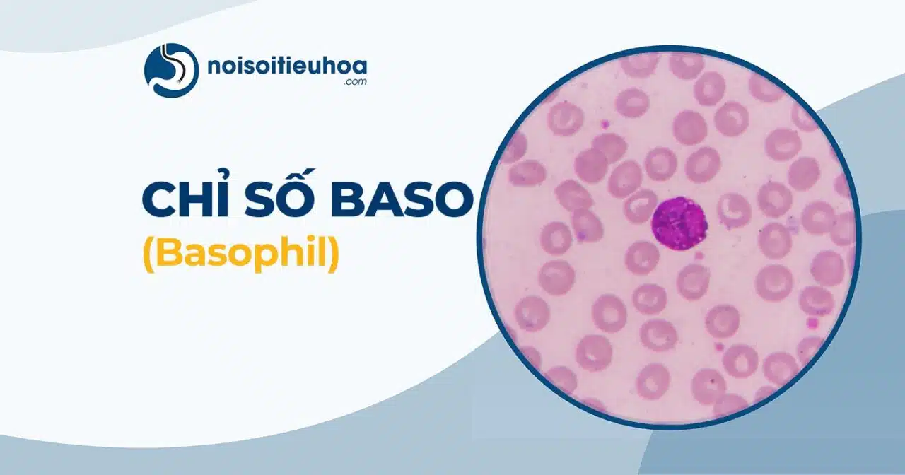 Hình thumbnail chỉ số BASO trong xét nghiệm công thức máu