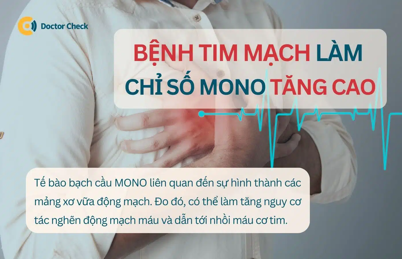 Bệnh tim mạch làm chỉ số MONO trong xét nghiệm máu tăng cao