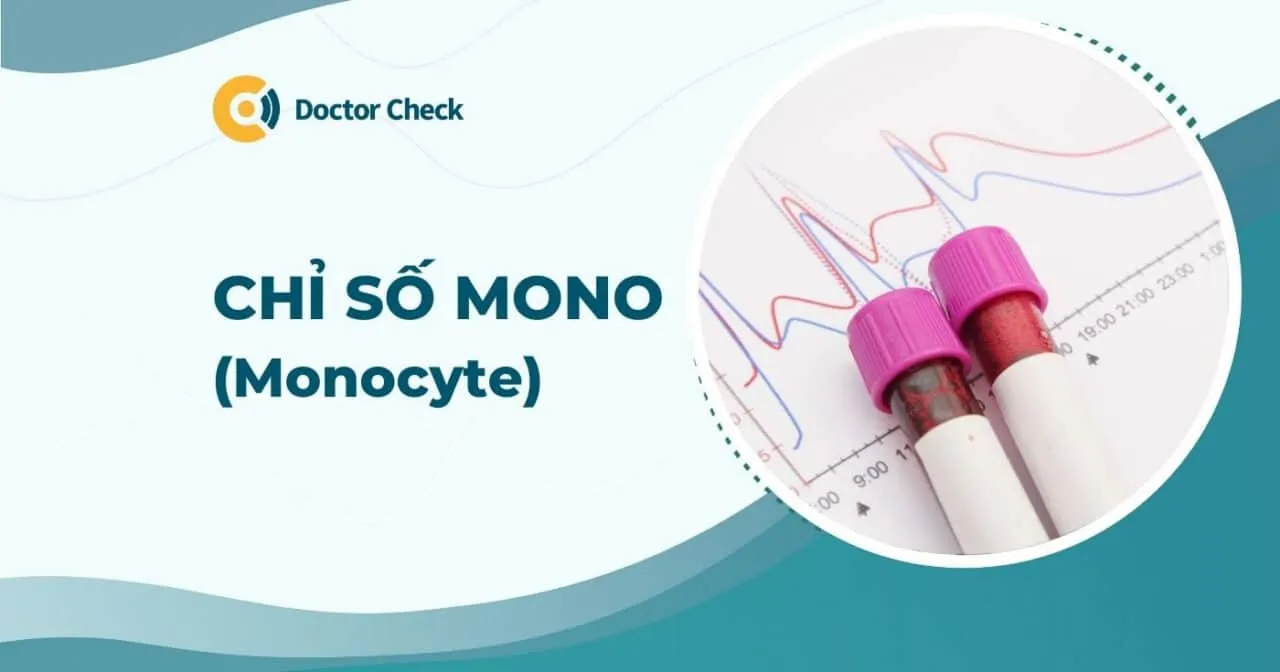 Chỉ số MONO là gì? Vì sao chỉ số MONO trong máu cao?