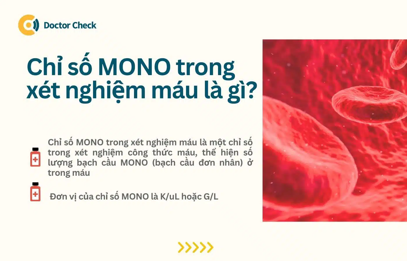 Chỉ số MONO trong xét nghiệm máu là gì?