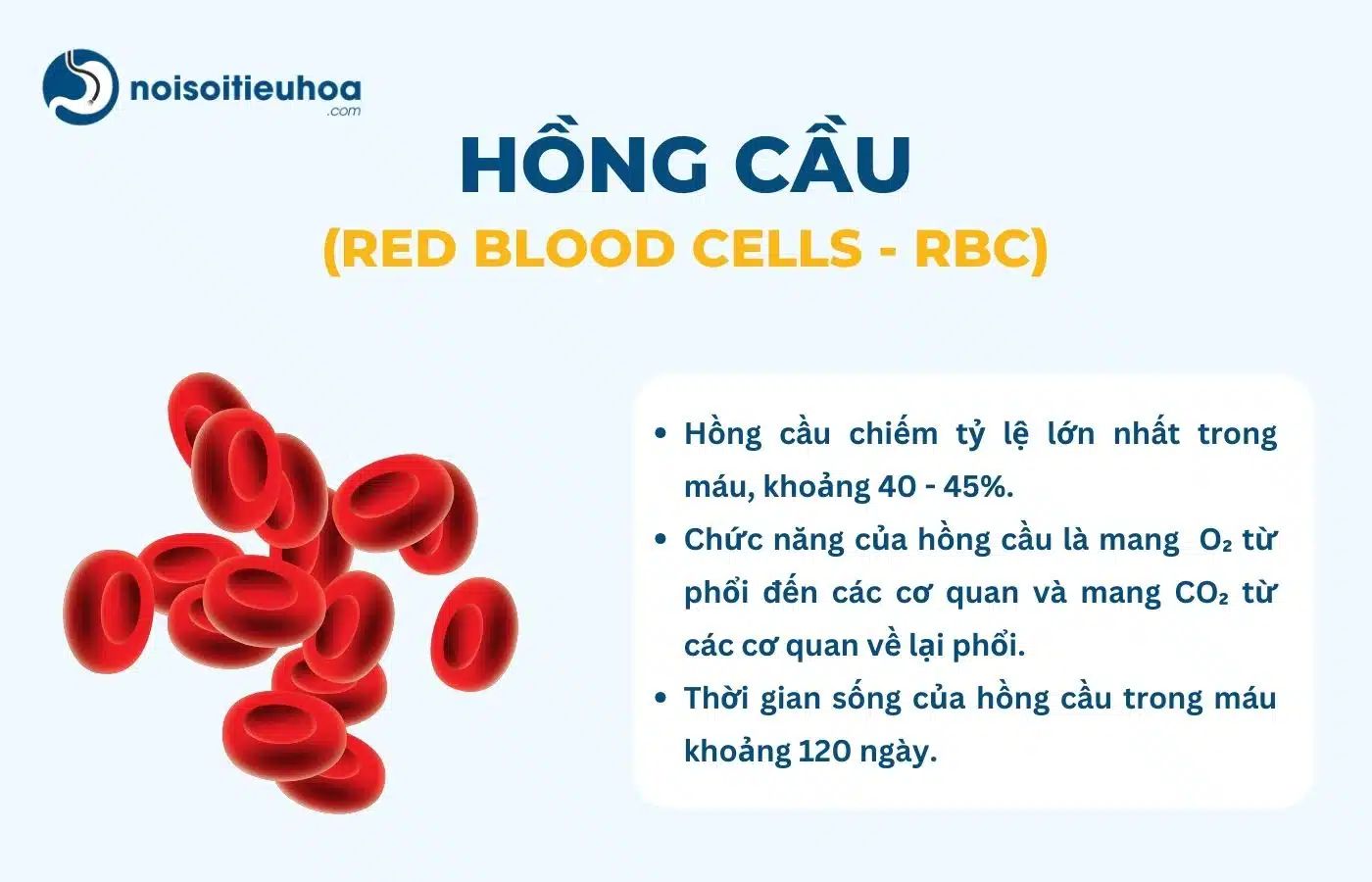 RBC trong xét nghiệm máu là gì?
