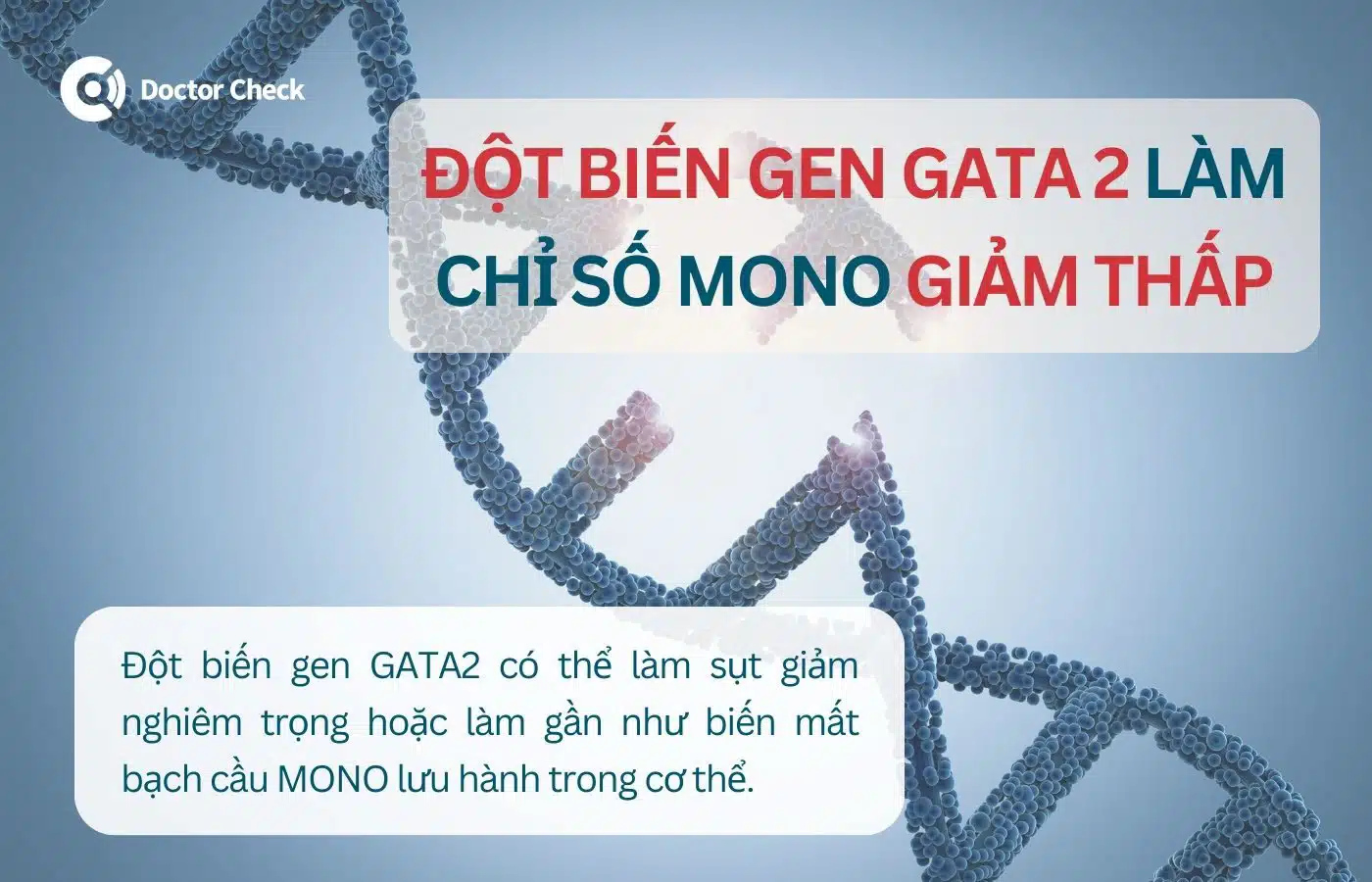 Đột biền gen làm chỉ số MONO trong xét nghiệm máu giảm thấp là gì?