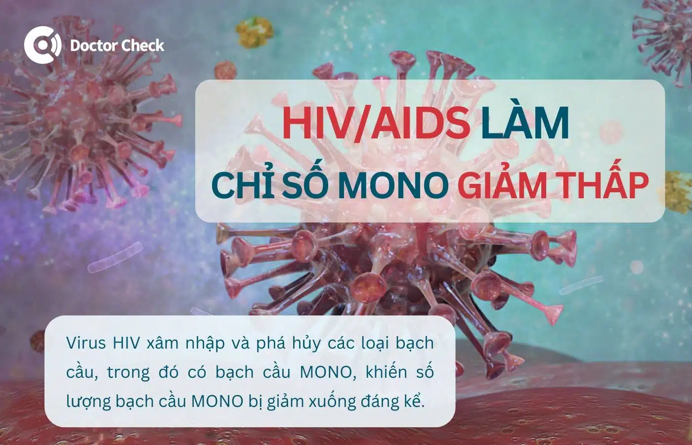 HIV/AIDS làm chỉ số MONO trong xét nghiệm máu giảm thấp