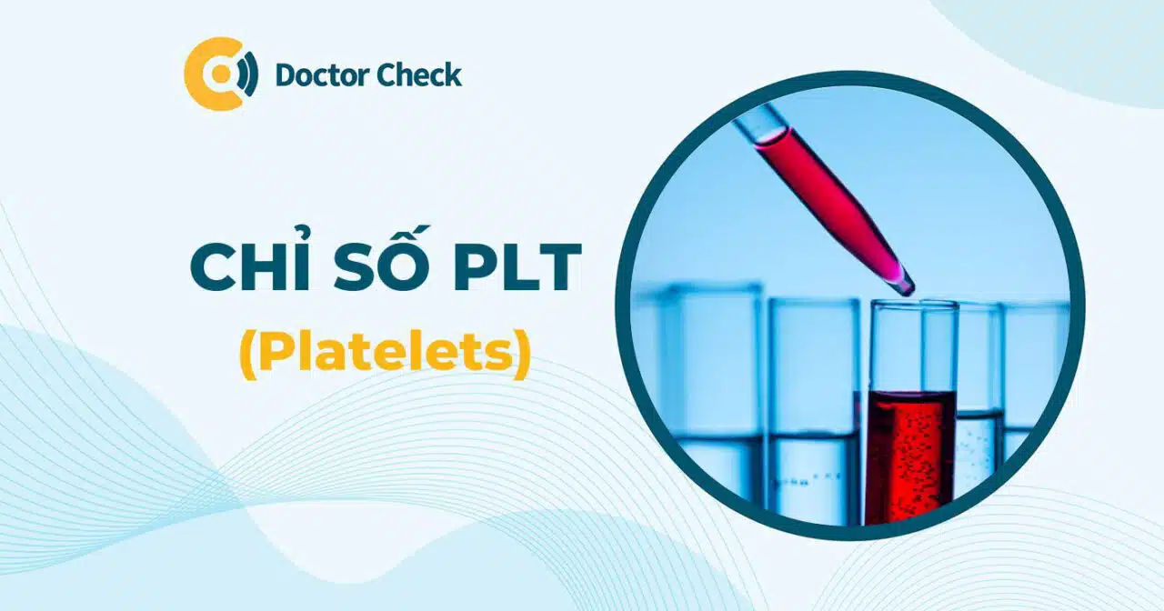 Chỉ số PLT là gì? Bệnh lý nào làm chỉ số PLT cao trong máu?