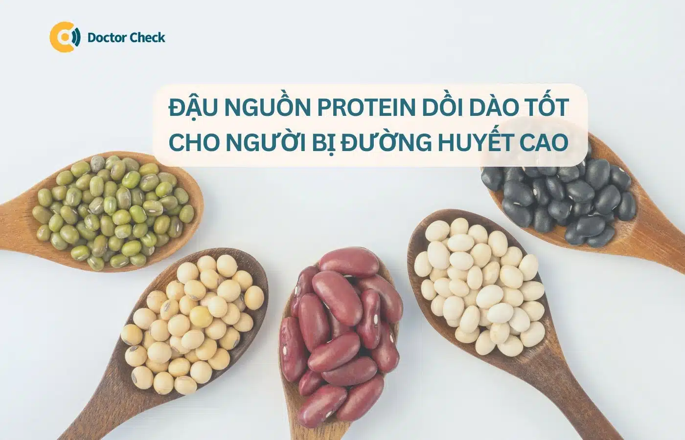 Các loại đậu - nguồn protein thay thế quan trọng