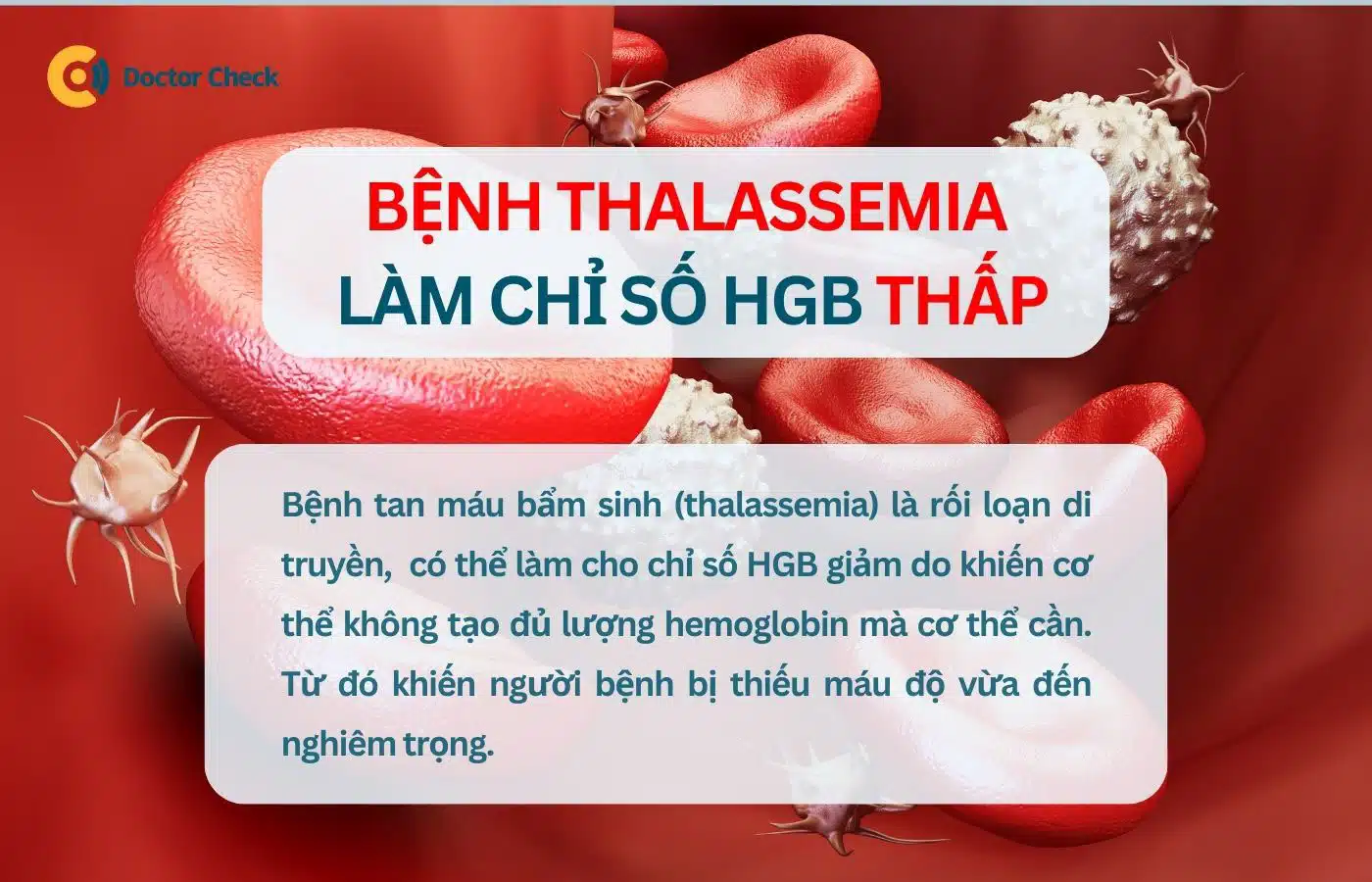 Bệnh tan máu bẩm sinh (thalassemia) làm giảm lượng HGB trong máu
