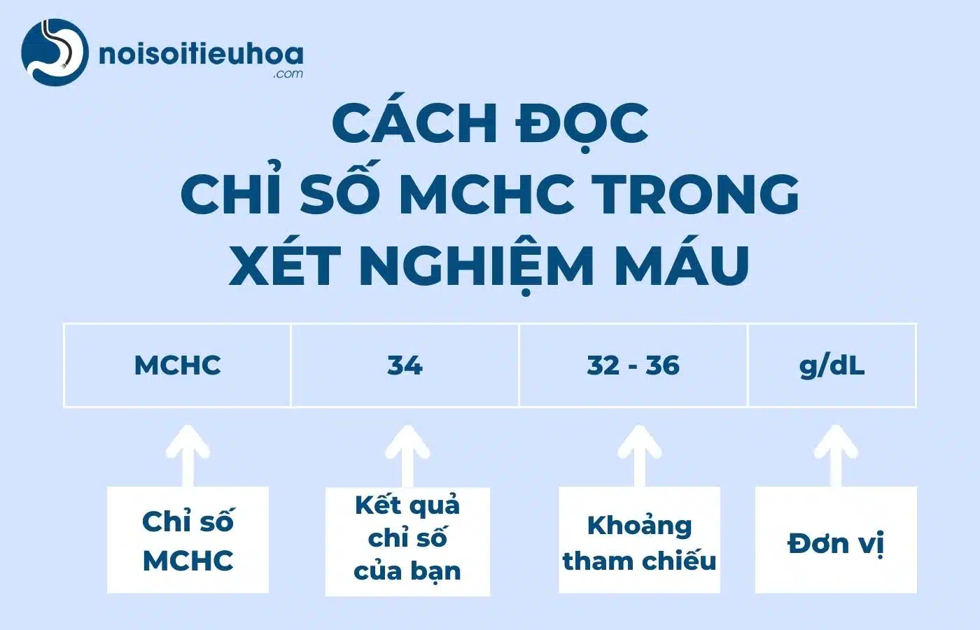 Cách đọc chỉ số MCHC trong xét nghiệm công thức máu như thế nào
