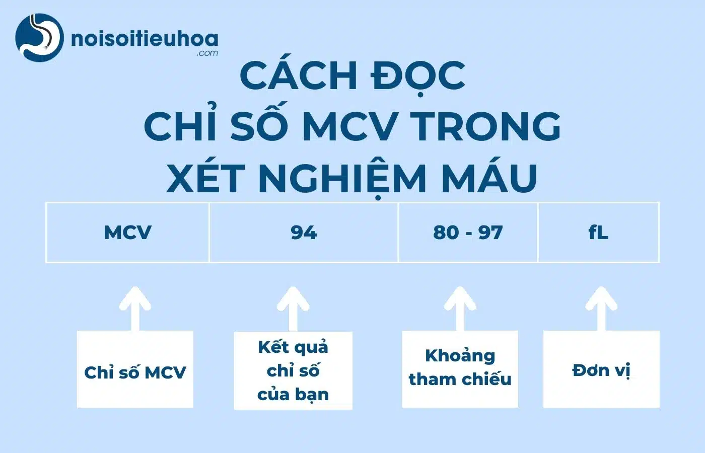 Cách đọc chỉ số MCV trong xét nghiệm công thức máu