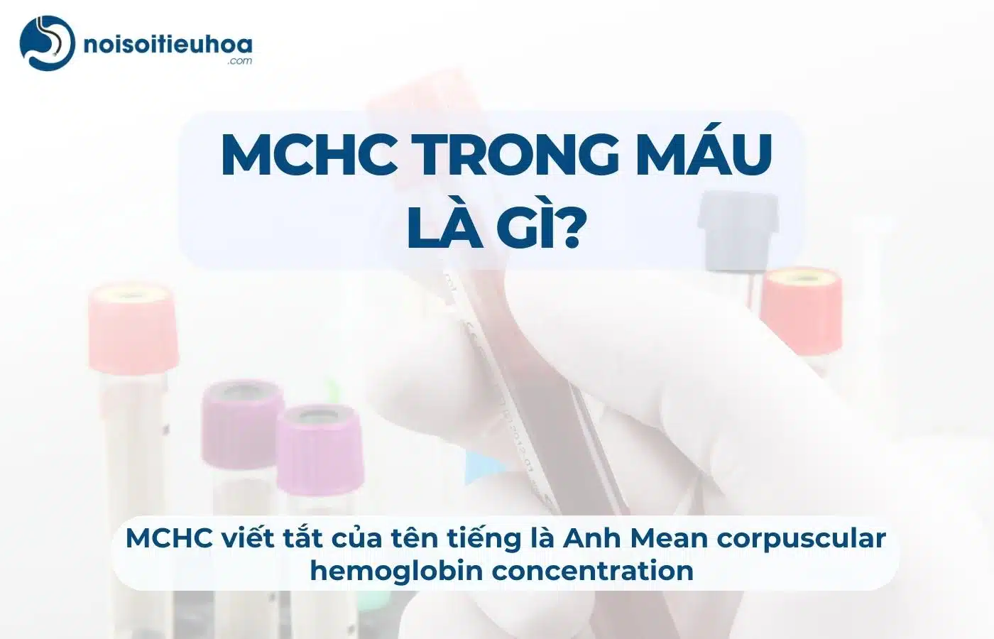 MCHC trong xét nghiệm máu là gì?