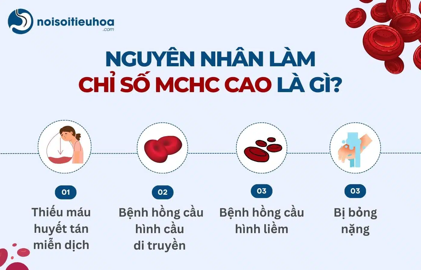 Nguyên nhân làm chỉ số MCHC trong xét nghiệm máu tăng cao là gì?