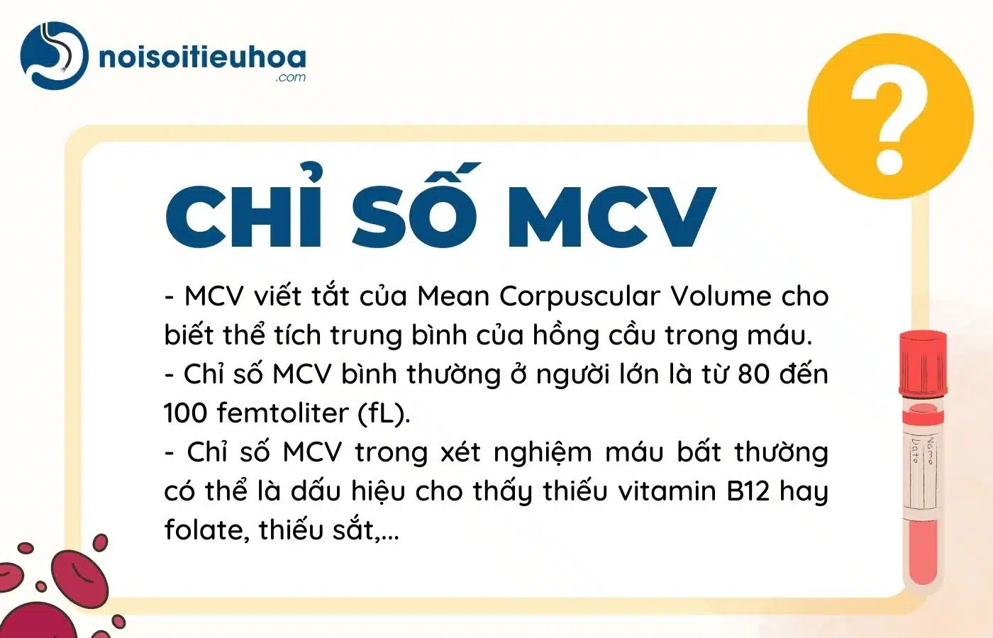 Tổng quan về chỉ số MCV trong xét nghiệm máu
