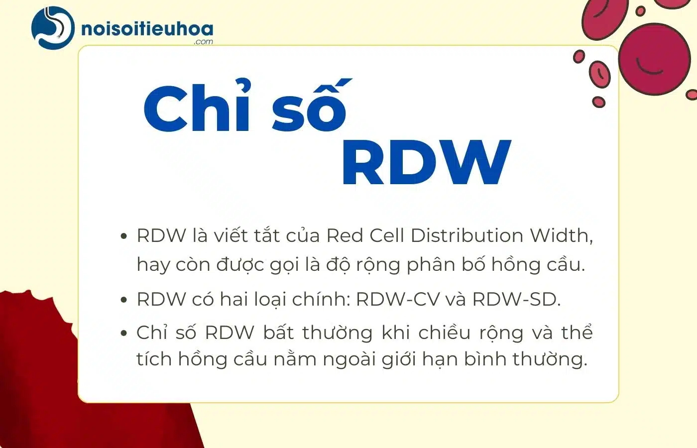Tổng quan chỉ số RDW trong máu là gì?